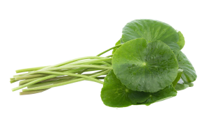 Vallarai Keerai (Bunch)